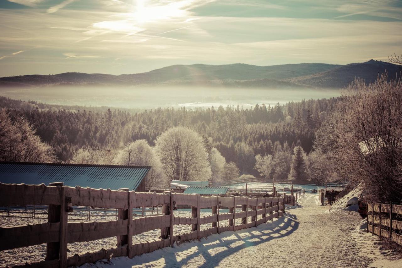 Landhotel Zum Matthiasl Bischofsreut Exteriér fotografie